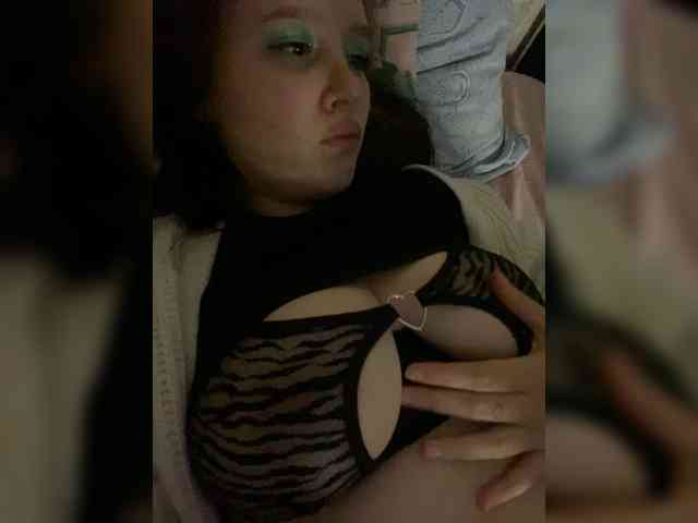 An_fisik webcam