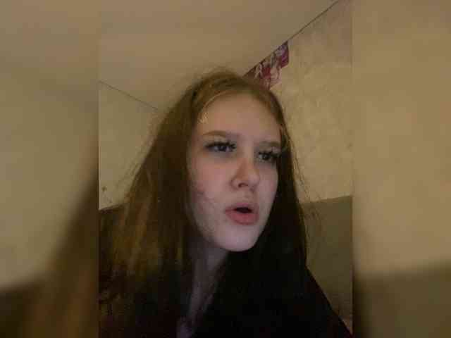 An_fisik webcam