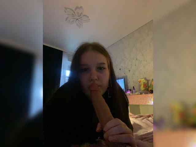 An_fisik webcam