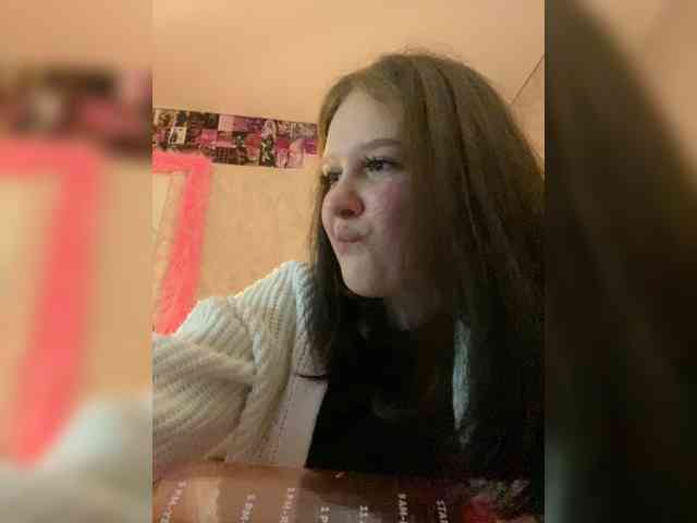 An_fisik webcam