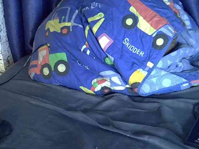 Caramel01 webcam
