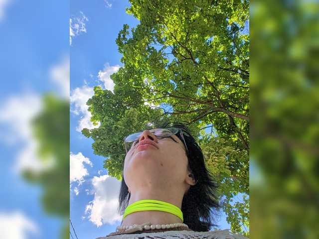 afroditabutterfly