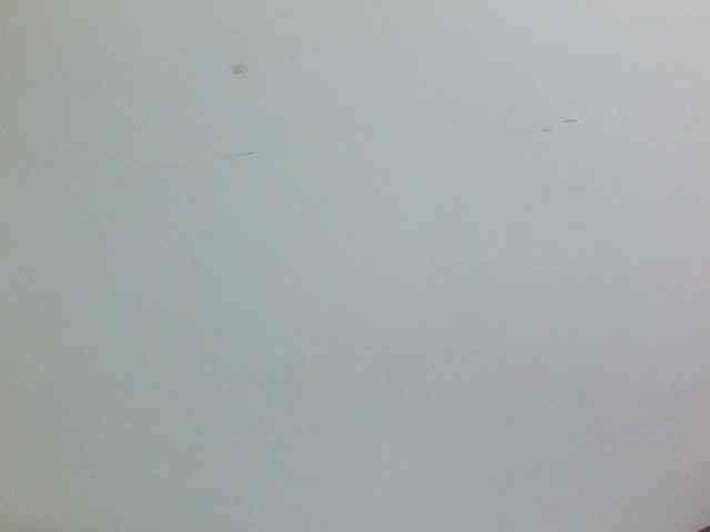 Sweetpie50 webcam