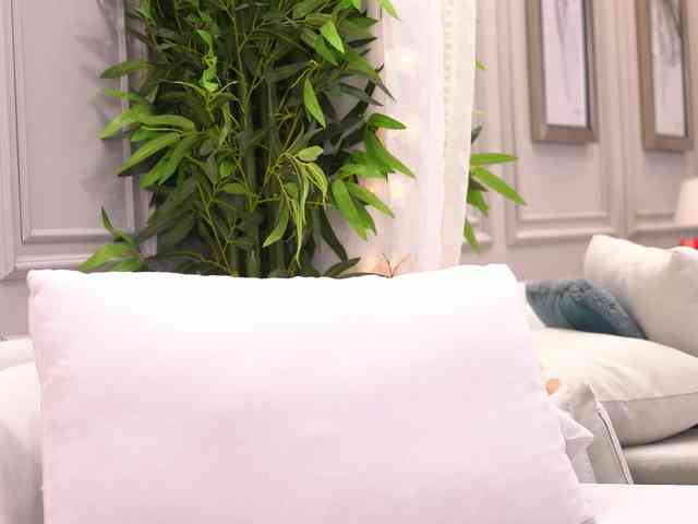 RoseDolll Sex Cam Show