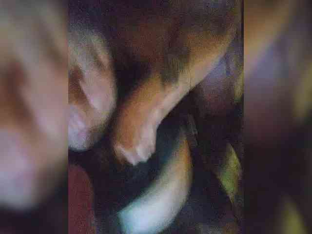 Meankitti1 webcam