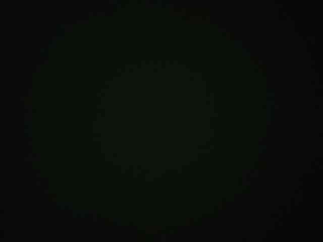 OdeliaPyeatt