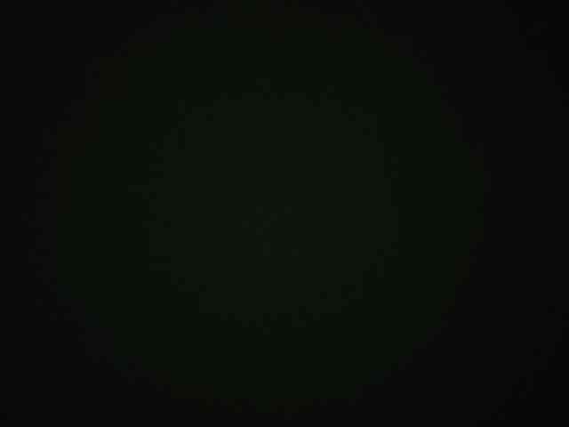 OdeliaPyeatt