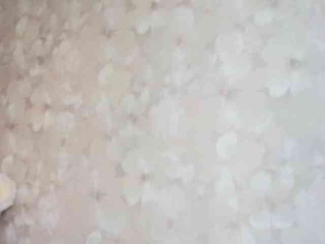 SandyJehlicka