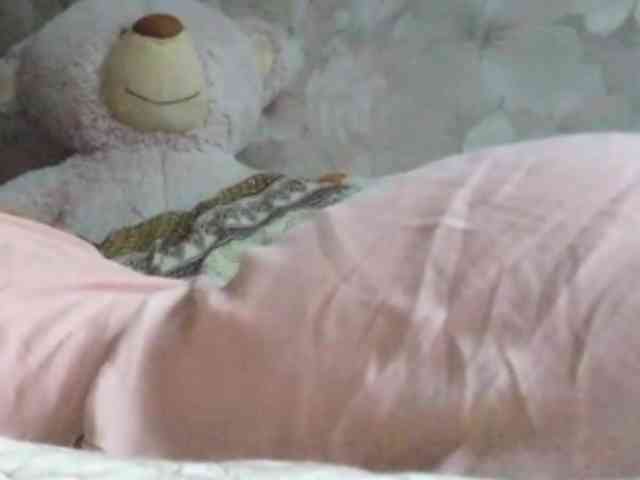SandyJehlicka webcam