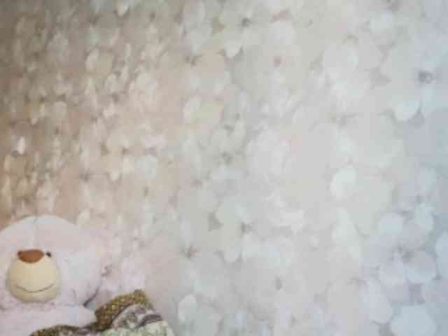 SandyJehlicka webcam