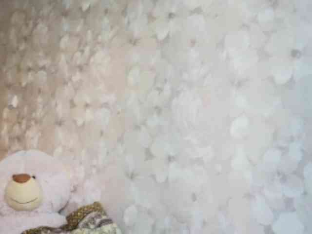 SandyJehlicka webcam