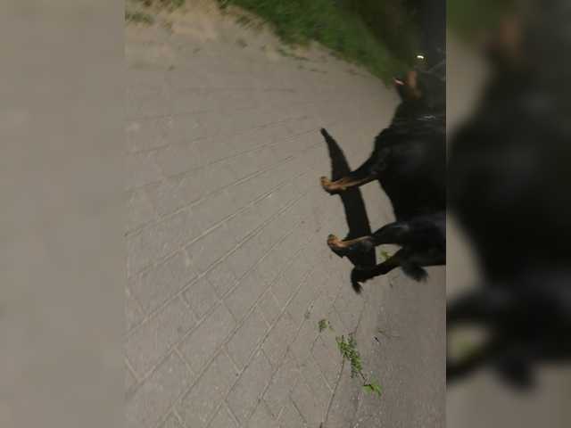 LollypopDollpl