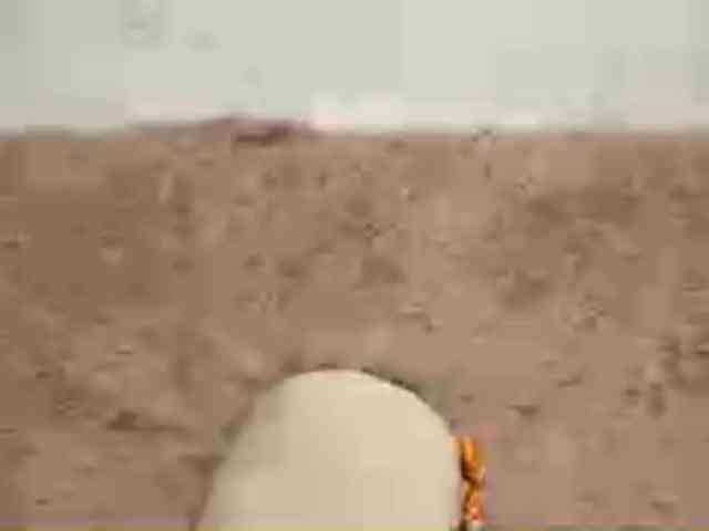 JacqueMcumber webcam