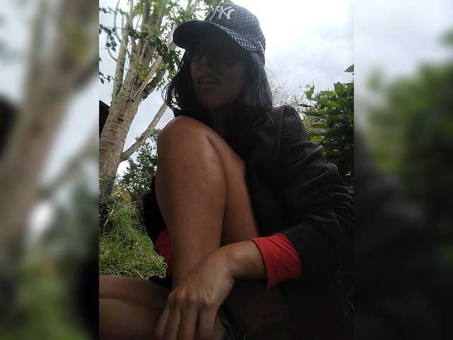 WildAurora