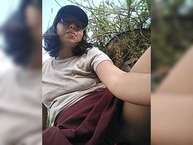 WildAurora