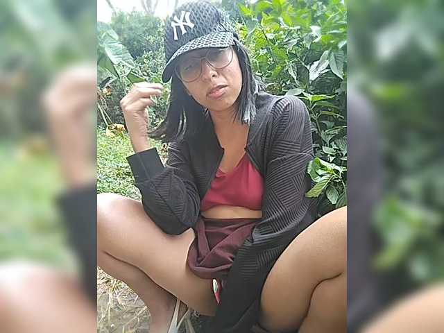 WildAurora