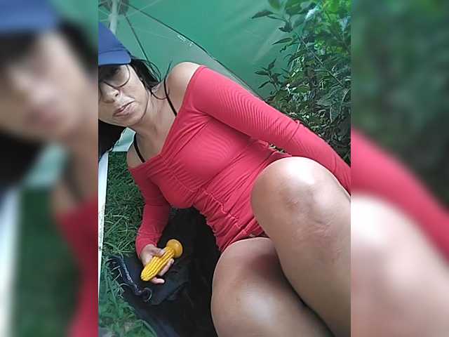 WildAurora