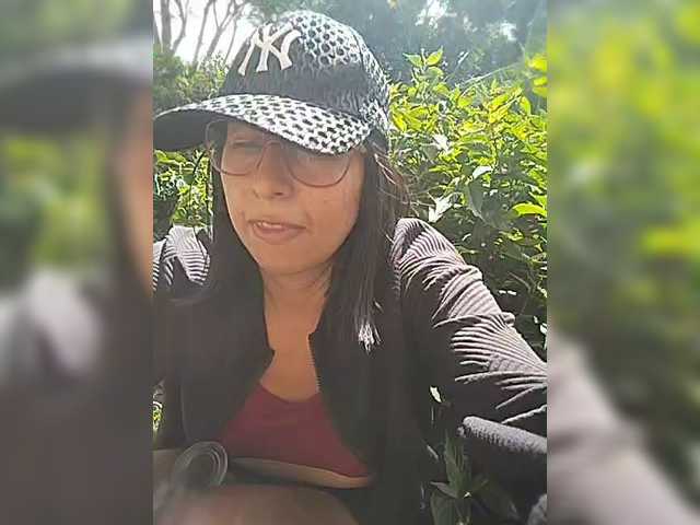WildAurora