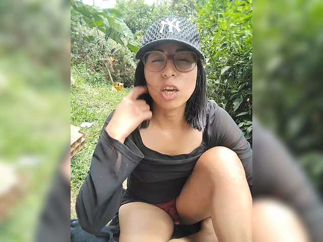 WildAurora