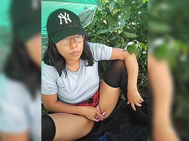 WildAurora