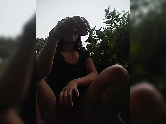 WildAurora