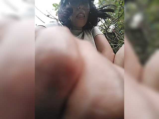 WildAurora