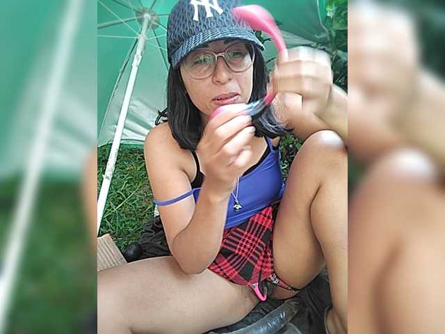 WildAurora
