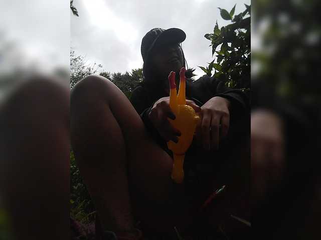 WildAurora
