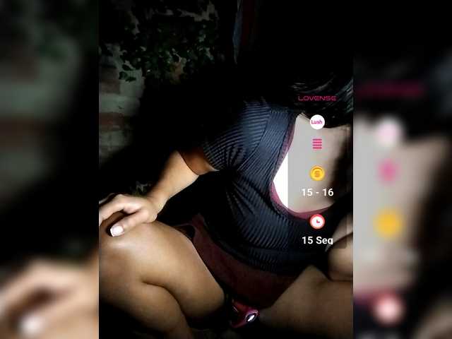 WildAurora