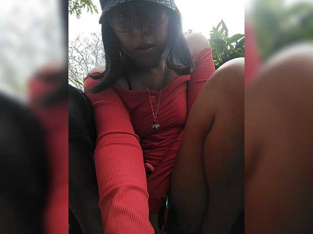 WildAurora