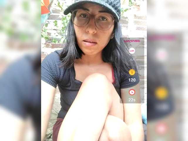 WildAurora