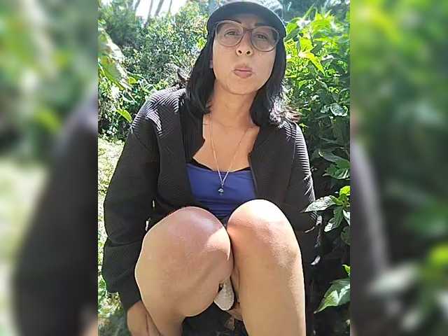 WildAurora