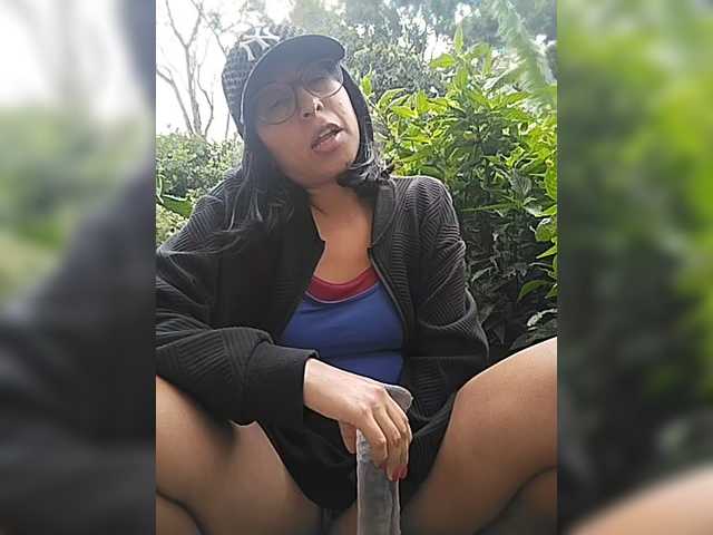 WildAurora