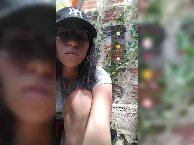 WildAurora