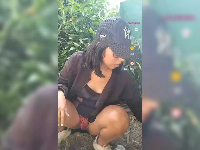 WildAurora