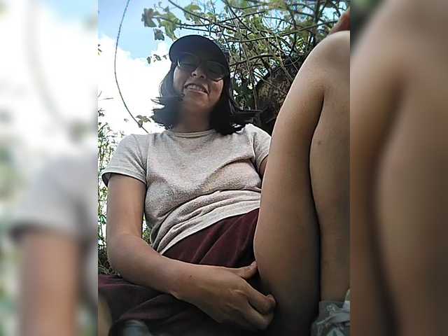 WildAurora