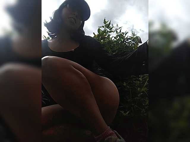 WildAurora