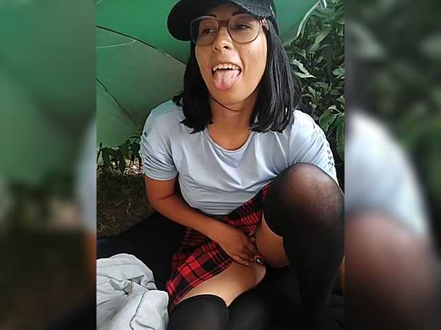 WildAurora