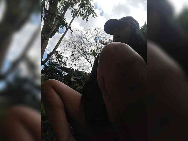 WildAurora