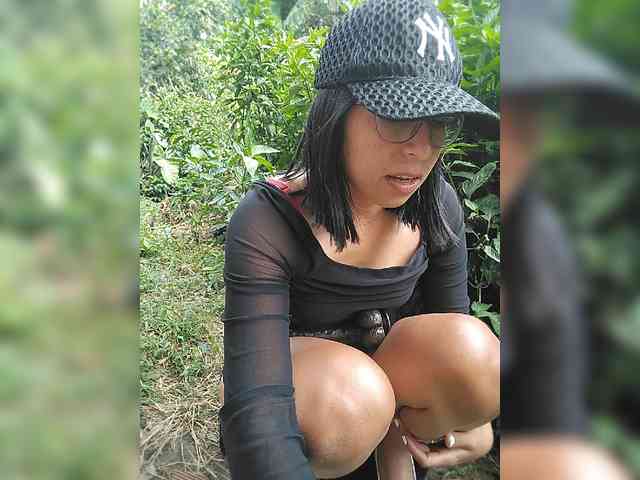 WildAurora webcam