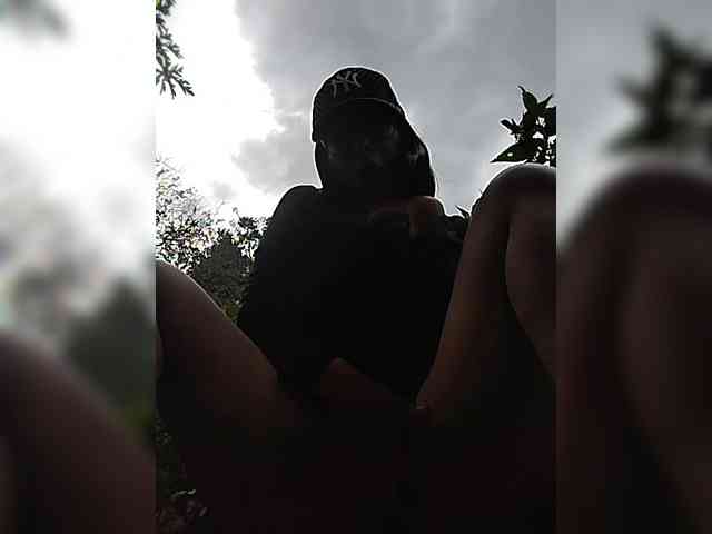 WildAurora webcam