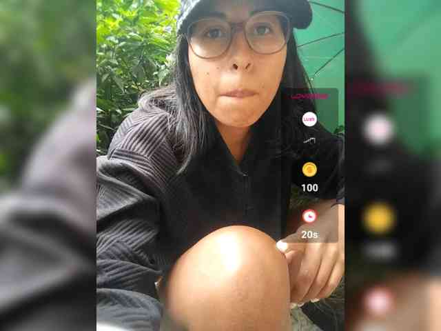 WildAurora webcam