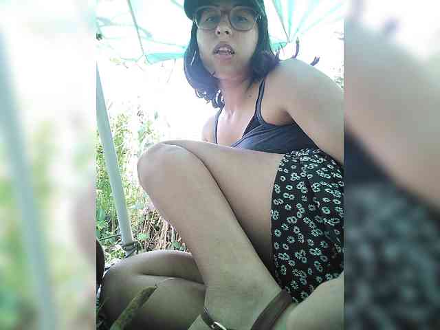 WildAurora