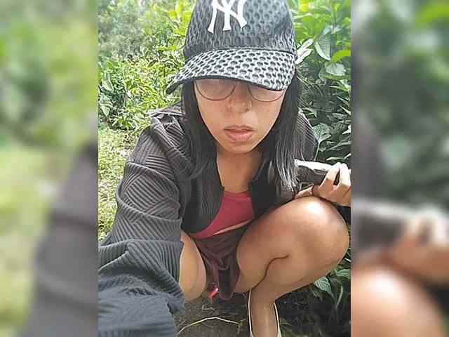 WildAurora webcam