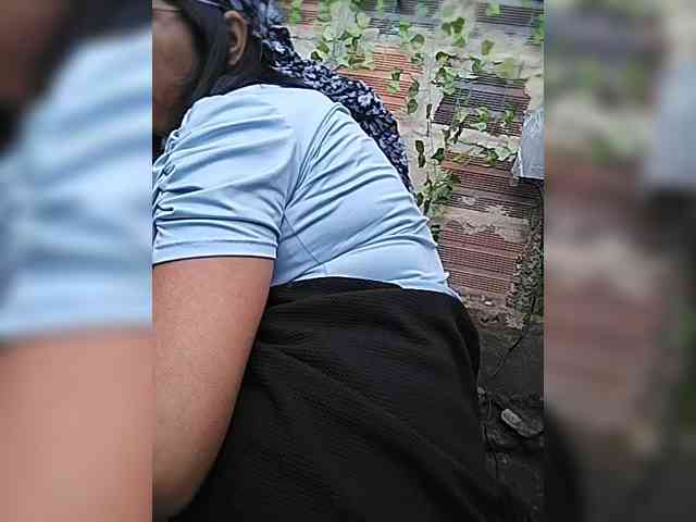 WildAurora webcam