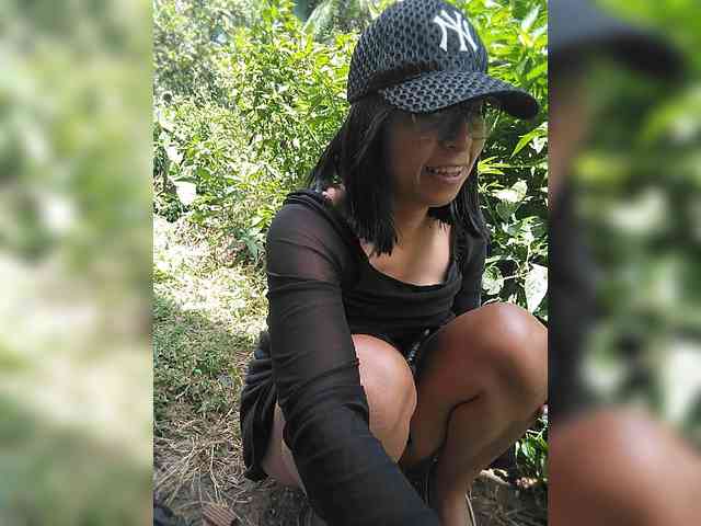 WildAurora