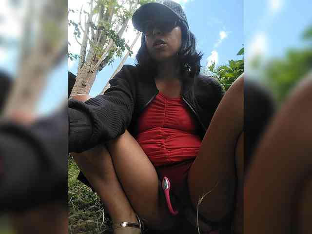 WildAurora webcam