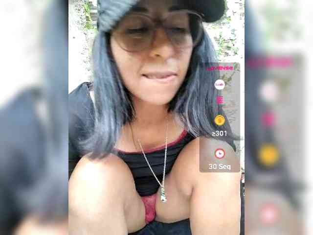 WildAurora webcam