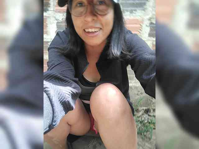 WildAurora webcam