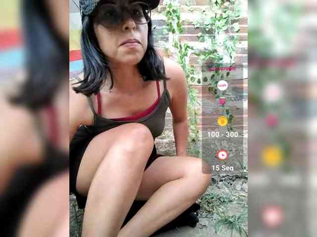 WildAurora webcam